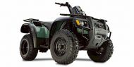 john deere TRAIL BUCK 500 495 2005