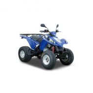 kymco KXR 250 250 2004