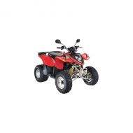 polaris PHOENIX 200 200 2006 -> 2011
