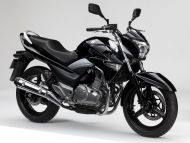 suzuki INAZUMA 250 2013