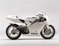 yamaha TZ 250 250 1992