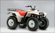 yamaha YFM 350 FW BIG BEAR 350 1999