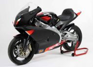 aprilia RSV 250 100 1993 -> 2009