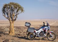 honda CRF1100L ADVENTURE SPORT 1100 2020 -> 2025