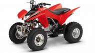 honda TRX 250 EX 250 2006 -> 2008