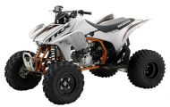 honda TRX 250 X 250 2009 -> 2011