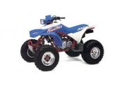 honda TRX 250 X FOURTRAX 250 1986 -> 1992