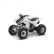 honda TRX 300 EX 300 1993 -> 2008