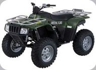 arctic cat AC 400 2X4 400 2002