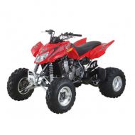 arctic cat DVX 400 400 2004