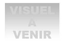 Kit fixation pour amortisseur de direction