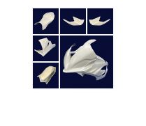 Ensemble pack carnage. Fintion gelcoat teint dans la masse